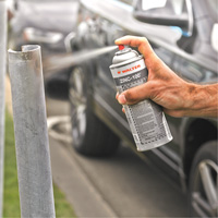 ZINC-100 Bright Galvanizing Spray, Aerosol Can Quali-T-Solutions