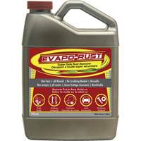 Agent antirouille super s&eacute;curitaire Evapo-Rust, Cruche Quali-T-Solutions