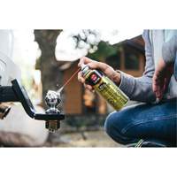 Gel lubrifiant pour remorque 3-in-One, Canette a&eacute;rosol Quali-T-Solutions