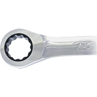 Non-Reversing Ratcheting Combination Wrench Quali-T-Solutions