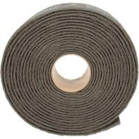Ruban de nettoyage et de finition Scotch-Brite, Tr&egrave;s fin, 4" la x 30' lo Quali-T-Solutions