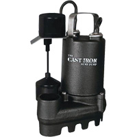 Cast Iron Submersible Sump Pump with Vertical Float Switch, 67 GPM, 33 V, 5 A, 1/3 HP Quali-T-Solutions