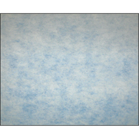 High-Arrestance Synthetic Media Filters, Pad, MERV 5, 24" W x 2" D x 12" H Quali-T-Solutions