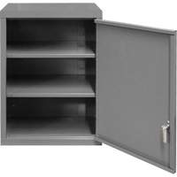 Armoire murale, 27" h x 13-11/16" la x 18" p, 2 tablettes, Acier, Gris Quali-T-Solutions