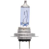 Ampoule de feu avant SilverStar zXe H7, Halog&egrave;ne/DHI, 56 W, Blanc Quali-T-Solutions