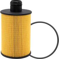 P40147 Lube Oil Filter Element Quali-T-Solutions