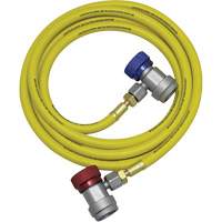 R134a A/C System Flush Hose Assembly Quali-T-Solutions
