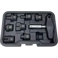 8 Pc. Oil Drain Plug Kit Quali-T-Solutions