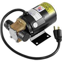 Low Profile Truck Drain with Electric Pump Quali-T-Solutions