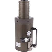 Safety Jack, Locking Collar, 100 tons Capacity, 13-37/100" - 19-3/5" H Quali-T-Solutions