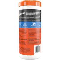 Interior Detailer Wipes Quali-T-Solutions