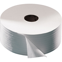 Papier hygi&eacute;nique Advanced, Rouleau G&eacute;ant, 2 Pli, Longueur 751', Blanc Quali-T-Solutions