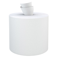 Everest Pro Paper Towel Rolls, 2 Ply, Centre Pull, 500' L Quali-T-Solutions