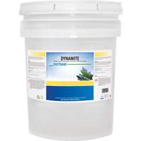 Dynamite Odourless Stripper & Degreaser, 20 L, Pail Quali-T-Solutions