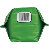 Biodegradable Hand Cleaner, Powder, 4.5 lbs., Packet, Unscented Quali-T-Solutions