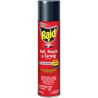 Insecticide contre fourmis, coquerelles et perce-oreilles Raid, 350 g, &agrave; base de solvant Quali-T-Solutions