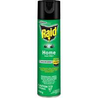 Insecticide pour insectes domestiques Raid, 350 g, &agrave; base de solvant Quali-T-Solutions
