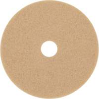 Trizact Diamond TZ Abrasive Strip, 20", Burnishing, Beige Quali-T-Solutions