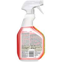Disinfecting Bio Stain & Odour Remover, 946 ml, Trigger Bottle Quali-T-Solutions