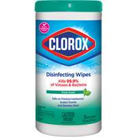 Lingettes d&eacute;sinfectantes, 75 lingettes Quali-T-Solutions