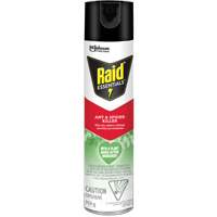 Raid&reg; Essentials Ant & Spider Killer, 350 g, Aerosol Can Quali-T-Solutions