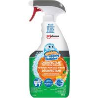 Bathroom Cleaners