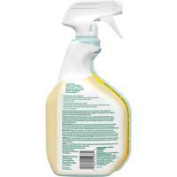 CloroxPro Clorox EcoClean All-Purpose Cleaner, 946 ml, Trigger Bottle Quali-T-Solutions