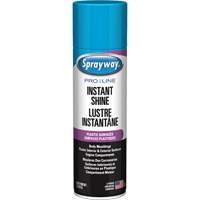 Pro Line Instant Shine for Plastic Surfaces, 11 oz., Aerosol Can Quali-T-Solutions