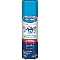Nettoyant tout usage Pro Line Crazy Clean, 19 oz., Canette a&eacute;rosol Quali-T-Solutions