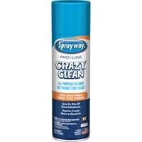 Nettoyant tout usage Pro Line Crazy Clean, 19 oz., Canette a&eacute;rosol Quali-T-Solutions