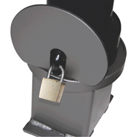 Bornes d&eacute;coratives amovibles, Acier, 40" h x 4-1/2" la, Noir Quali-T-Solutions