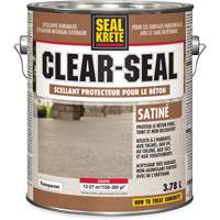 Produit d&eacute;tanch&eacute;it&eacute; protecteur Seal-Krete, 3,78 L, &agrave; l'ur&eacute;thane, Satin, Transparent Quali-T-Solutions