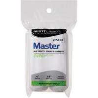 Mini couvre-rouleau en mousse Master Quali-T-Solutions