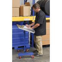 Mobile Tilting Work Table Quali-T-Solutions