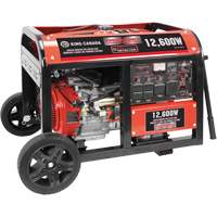 G&eacute;n&eacute;ratrice &agrave; essence &agrave; d&eacute;marreur &eacute;lectrique, 12600 W de surtension, 9000 W nominale, 120 V/240 V, R&eacute;servoir de 31 L Quali-T-Solutions