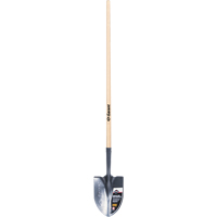 Pelle ronde Pro, Lame Acier durci, Bois, Manche Droit Quali-T-Solutions