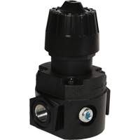 Wilkerson Compact Regulator R16, 1/4" NPT, 300 psi Max. PSI, Standard Quali-T-Solutions