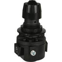 Wilkerson Regulator R26, 3/8" NPT, 300 psi Max. PSI, Standard Quali-T-Solutions