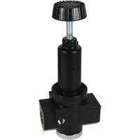 Wilkerson High Flow Regulator R30, 3/4" NPT, 300 psi Max. PSI, Standard Quali-T-Solutions