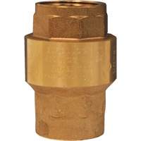 Horizontal Swing Check Valve Quali-T-Solutions