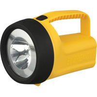 Lanterne flottante Readyflex de EverReady, DEL, 80 Lumens, Piles D Quali-T-Solutions