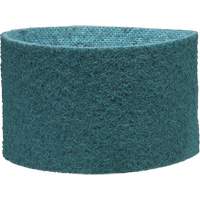 Scotch-Brite Surface Conditioning Belt Quali-T-Solutions