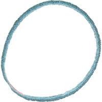 Scotch-Brite Surface Conditioning Belt Quali-T-Solutions