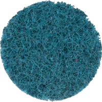 Disque de conditionnement de surface Scotch-Brite Roloc, 1" dia. Quali-T-Solutions