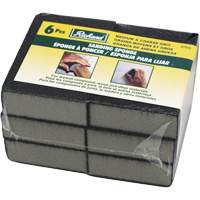 Wet and Dry Sanding Sponges Quali-T-Solutions