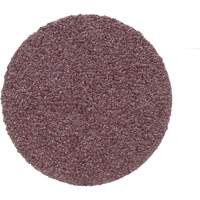 Disque de conditionnement de surface, 1" dia., Grain P100, Oxyde d'aluminium Quali-T-Solutions