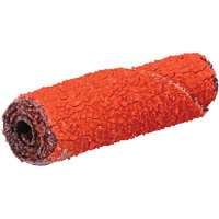Rouleau de cartouche Blaze R920, 60 Grain, 3/8" dia., C&eacute;ramique d'alumine, 1-1/2" lo, 1/8" Dimension de l'arbre Quali-T-Solutions
