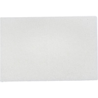 Bear-Tex Hand Pads, Non-Abrasive, 9" x 6" Quali-T-Solutions