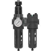 Filtre/d&eacute;tendeur & filtre coalescent Modulair 400 avec bol standard & drain manuel, 3/4" NPTF, 150 psi, Capacit&eacute; de 9,13 oz liq. Quali-T-Solutions