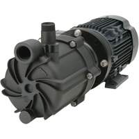 Self-Priming Magnetic Drive Pump with Carbon Bushing Quali-T-Solutions
